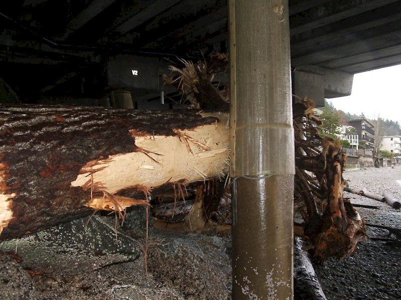 Harbor West Condos, Washington St, USA SeaShield 500